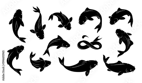 Koi fish vector silhouette set with nine black ornamental fish in various poses for Japanese and aquatic design
