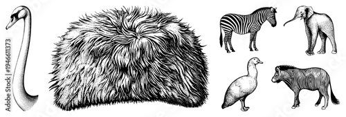 Black and white halftone illustrations of animals including swan, zebra, elephant, and duck, rendered in classic engraving style with stippling and hatching for texture.