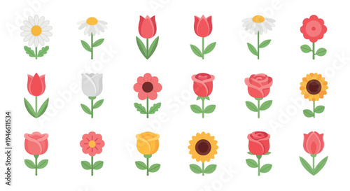 Colorful flower in rows on white flowers background 2 tulips