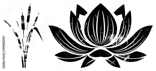 Grungy vector illustration of reeds and lotus bloom, botanical art, nature symbols, black silhouette, water lily, aquatic flora, decorative emblem.