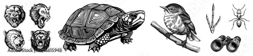 Hand drawn animal sketches including roaring bears, turtle, bird, insect, and binoculars, rendered in classic engraving style with intricate and high contrast.