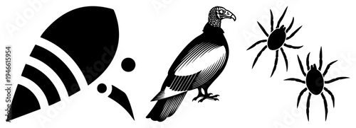 Black and white vector including a vulture with hatched feathers, two spiders with elongated legs, and a stylized with concentric arcs all isolated, cutout, rgba.