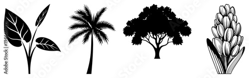 Black vector of diverse plant forms tropical leaf, palm tree, canopy tree, and flowering bulb minimalist botanical design, nature illustration, plant.