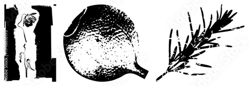 Stylized plant elements rendered in, including dried flower, textured gourd, and leafy sprig, halftone texture, vector graphic, isolated botanical motifs.