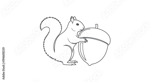Squirrel Eating from Acorn Illustration.