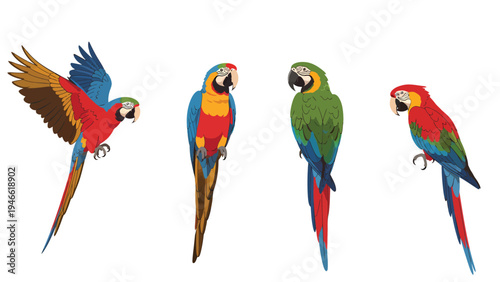Vibrant Macaw Parrots Set: Colorful Tropical Bird Illustrations in Flight and Perched