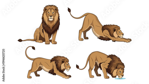 Diverse Cartoon Lion Poses: Sitting, Stretching, Hunting, Drinking Water Illustration Set