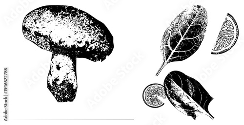 Vintage style halftone drawing of mushroom, citrus slices, and leaves, botanical art, natural elements, vector design.