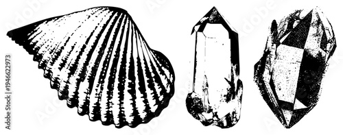 Scallop with radial ridges, quartz crystal prism, rough faceted mineral, black and white halftone illustration, geological specimens, nature study.
