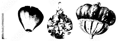 Vector art featuring stylized bloom, fragmented circular ornament, and ribbed acorn like form, rendered in halftone texture,, graphic design elements.