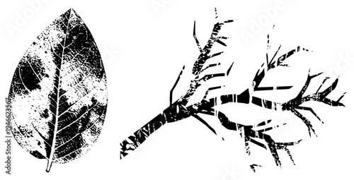 Black and white vector illustration of leaf and twig, distressed texture, botanical design, nature art, graphic element, eco themed, minimalist flora.