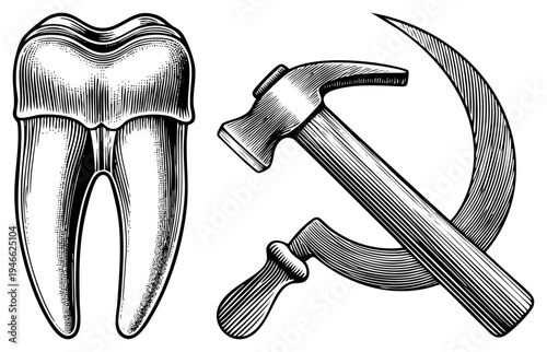 Soviet hammer and sickle emblem juxtaposed with anatomical molar tooth, engraved vector illustration, political, dental anatomy, black and white halftone style.