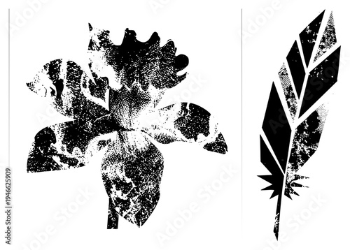 Black and white vector graphics of iris bloom and feather, halftone dot, graphic design elements, vintage print style, isolated foreground, artistic silhouettes.