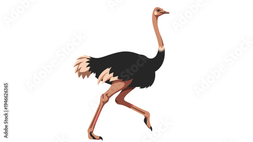 Stylized Ostrich Running Illustration Isolated on White Background