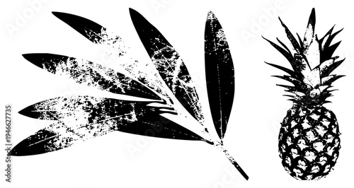 Vintage style tropical fruit and foliage graphic, silhouette, palm frond cutout, distressed halftone texture, vector design.