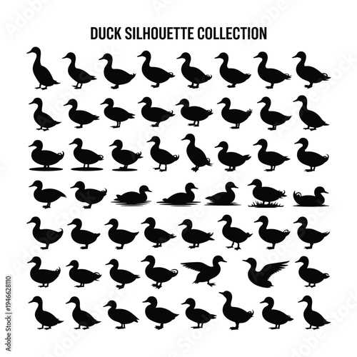 A diverse collection of black duck silhouettes in various poses