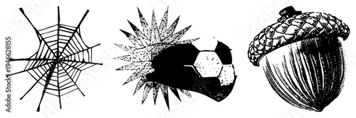 Classic vector illustrations of spiderweb, soccer ball, acorn isolated, stylized, halftone textures, graphic design elements, art.