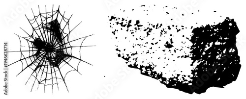 Detailed radial web with dot shading, chaotic ink blot texture, graphic art, isolated elements, halftone style, vector illustration, artistic composition.