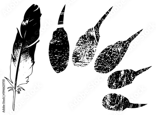 Stylized feather and tadpole shapes with distressed halftone texture, vector illustration, ink sketch, rustic graphic design elements.