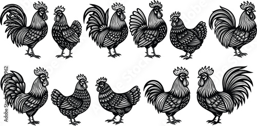 Set of Decorative Rooster and Chicken Vector Illustrations, Hand Drawn Linocut Style Poultry Silhouettes for Farmhouse Decor, Organic Food Branding and Agriculture Designs