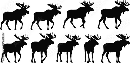 Set of moose silhouettes in various walking and standing poses, featuring large bull elks with antlers for forest wildlife and hunting designs.