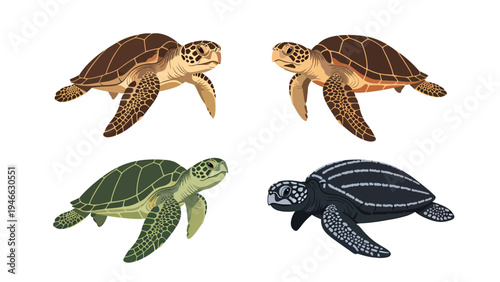 Diverse Sea Turtle Species Illustration Set: Green, Leatherback, and Brown Marine Life Collection