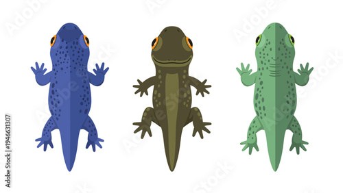 Diverse Newts Illustration Set: Blue, Olive, Green Amphibians. Top view vector design for wildlife and nature themes.