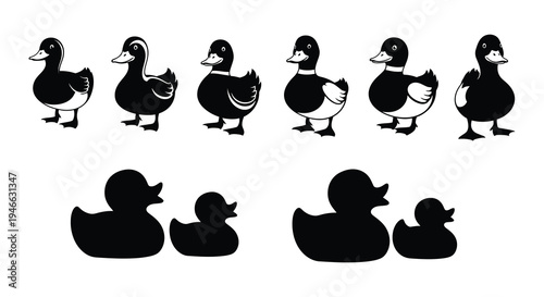Black silhouette illustrations of mallard ducks in various poses