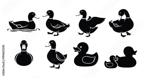 Black silhouette illustrations of mallard ducks in various poses