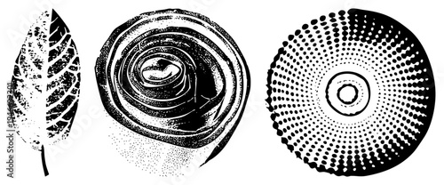 Graphic designs featuring leaf, spiral, and circular motifs with halftone dots and stippling textures, vector art, isolated elements for design use.
