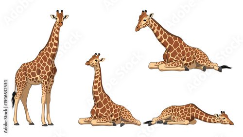 Cartoon Giraffe Poses Set: Standing, Sitting, and Lying Down Illustrations on White Background