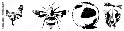 Bold black and white vector illustrations of a rooster, bee, moon, and skull with fish bones, rendered in grunge texture style, isolated silhouettes with distressed.