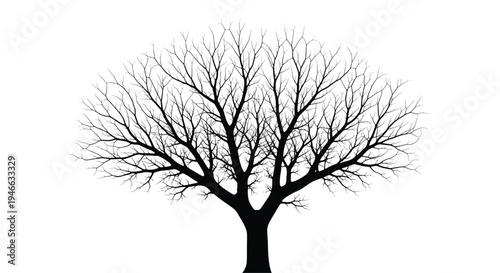A bare tree stands alone against a white background