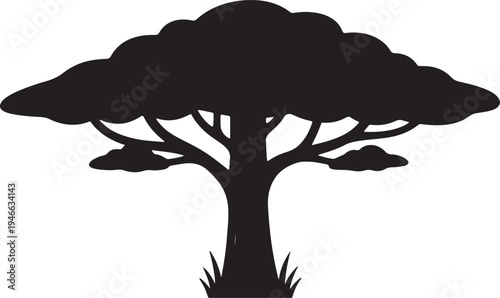 Silhouette of a tree with wide canopy and trunk against white background also transparent background