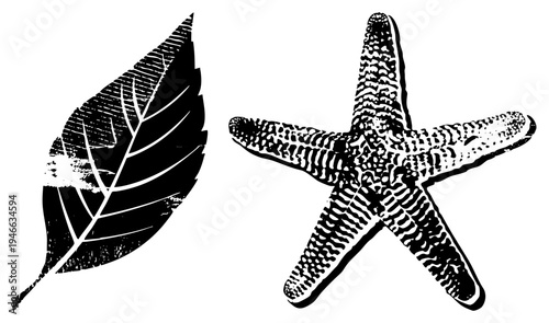 Stylized leaf and starfish in, halftone, nature graphic, isolated vector art, marine and botanical elements.