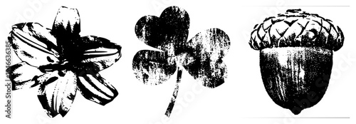 Stylized black and white halftone illustrations of flower, clover, and acorn with textured shading, isolated graphic elements for design use.