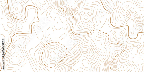 abstract wavy background. topographic contour background. Topography background. Vector banner. 
