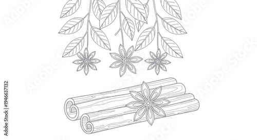 Cinnamon Sticks and Star Anise Illustration.
