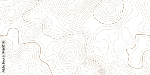 abstract wavy background. topographic contour background. Topography background. Vector banner. 
