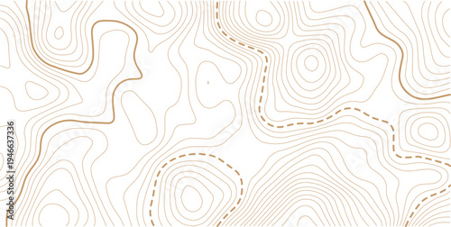 abstract wavy background. topographic contour background. Topography background. Vector banner. 
