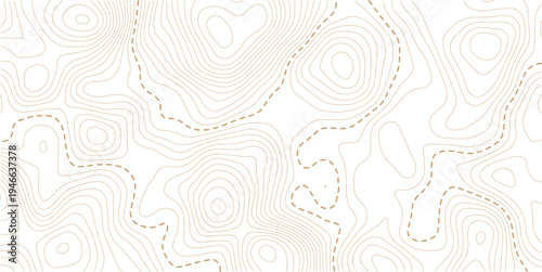 abstract wavy background. topographic contour background. Topography background. Vector banner. 
