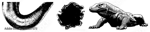 Black and white woodcut illustrations of a Komodo dragon, worm, and mushroom, featuring detailed hatching and stark contrast. Classic engraved art style, isolated vector graphics.