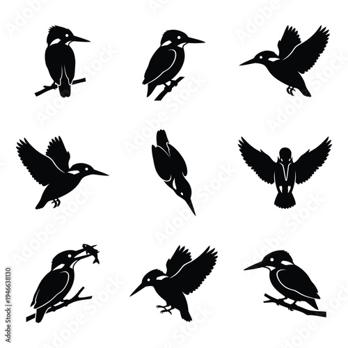 Kingfisher Bird Silhouette Vector Set - Various Poses and Actions