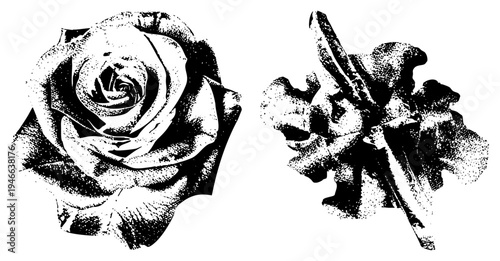Vintage halftone illustrated rose and abstract bouquet, graphic design, stylized botanical elements, vector illustration.