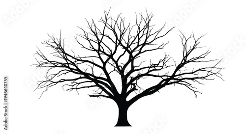 A silhouette of a deciduous tree with intricate, bare branches spread out symmetrically.