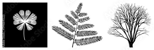 Vector botanical illustrations featuring clover, fern, and leafless tree in clean black, isolated nature graphics, stylized flora, graphic design elements.