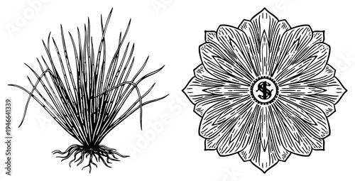 Botanical grass illustration with roots, symmetrical emblem with dollar symbol center, black ink art, vintage engraving style, financial motif design.