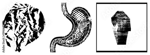 Stylized organic shapes with halftone, abstract biological motifs, vector graphic textures, black and white design, artistic composition.