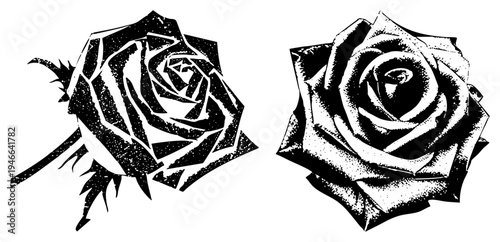 Black and white roses with halftone texture, art, graphic design elements, tattoo inspired motifs, isolated rose graphics, vector cutout, vintage print style.