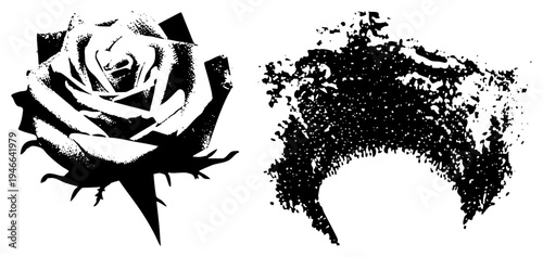 Stylized rose with layered petals and, halftone shading, paired with chaotic ink splatter, vector art, graphic design element.